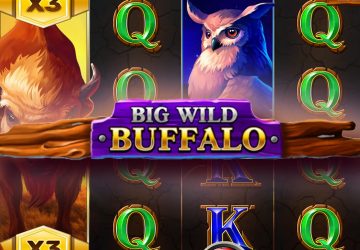 Игровой автомат Big Wild Buffalo в Sweet Casino
